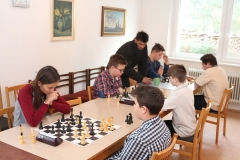 IMG_8488